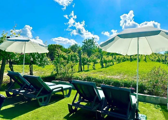 Szent Orban Panzio - Kutyabarat זלקרוס